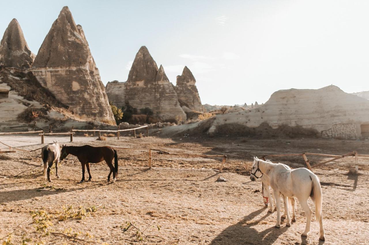 Sandik Cave Suites Nevşehir Exteriör bild