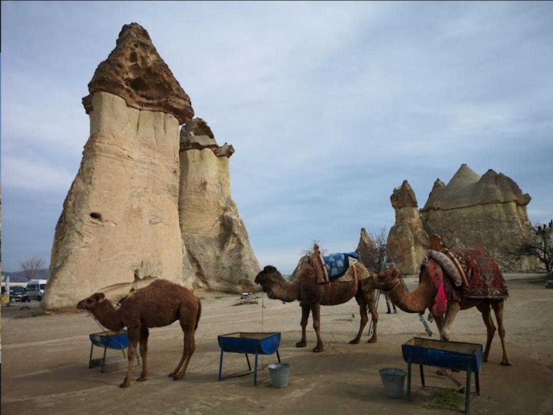 Sandik Cave Suites Nevşehir Exteriör bild